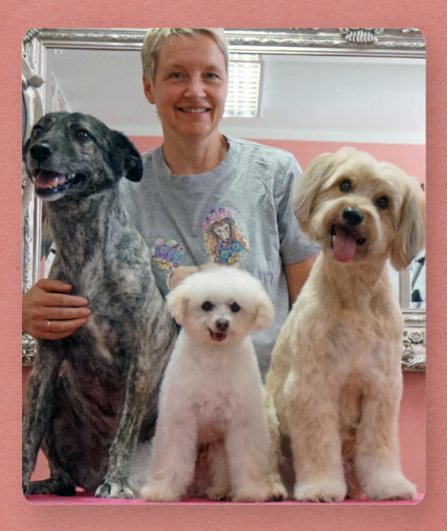 Hundefriseur Daniela Braun